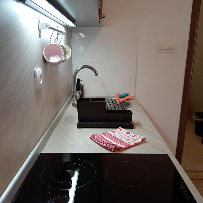 Centar Harmony 1 - Apartman sa Terasom - 10