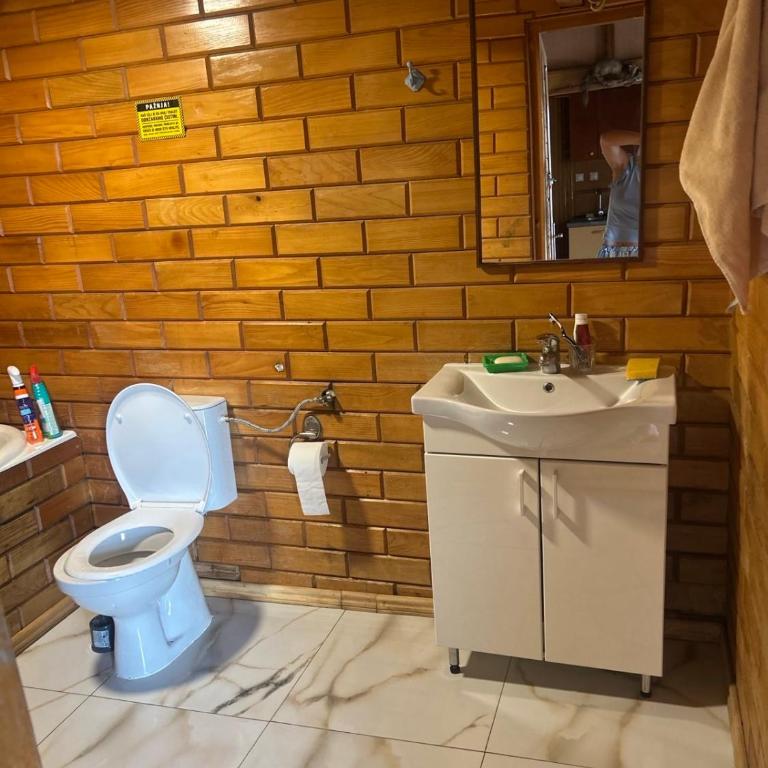 Splav na Savi KALIVARIJA - Vila sa 1 Spavaćom Sobom - 65