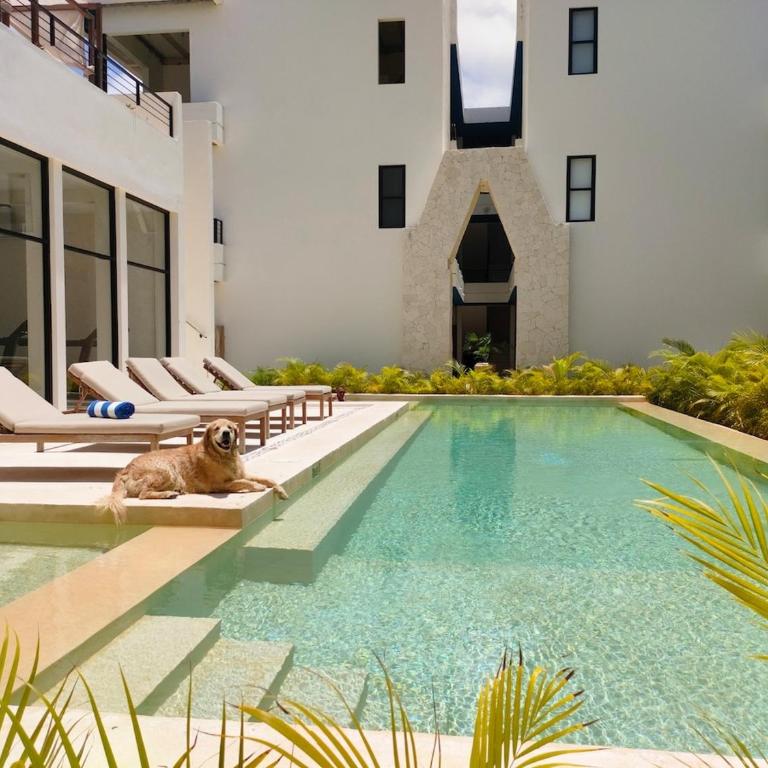 Tropical Escape in a Cozy Studio Paam Cheel - Apartamento de 1 dormitorio - 23