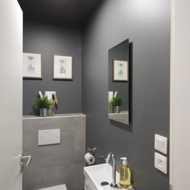 Reflets Sur La Lauch appartements - Appartamento Deluxe - 31