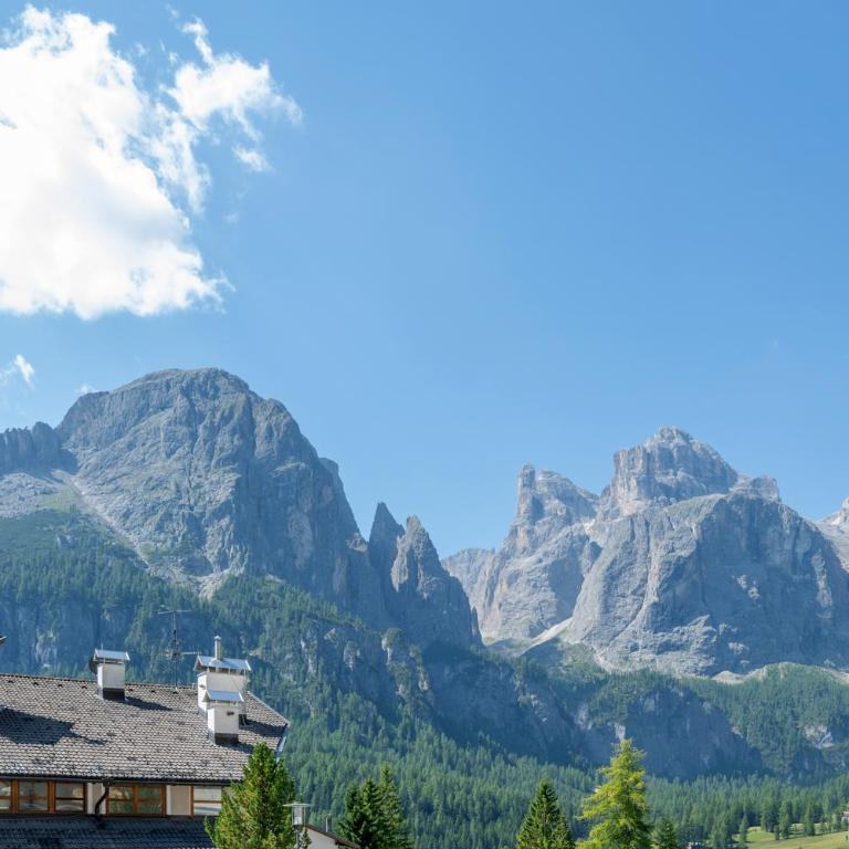 Mountain Vibes Colfosco - Appartement 1 Chambre - 19