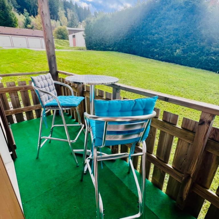Charming apartment with view of the Massif ! - Appartement - 30