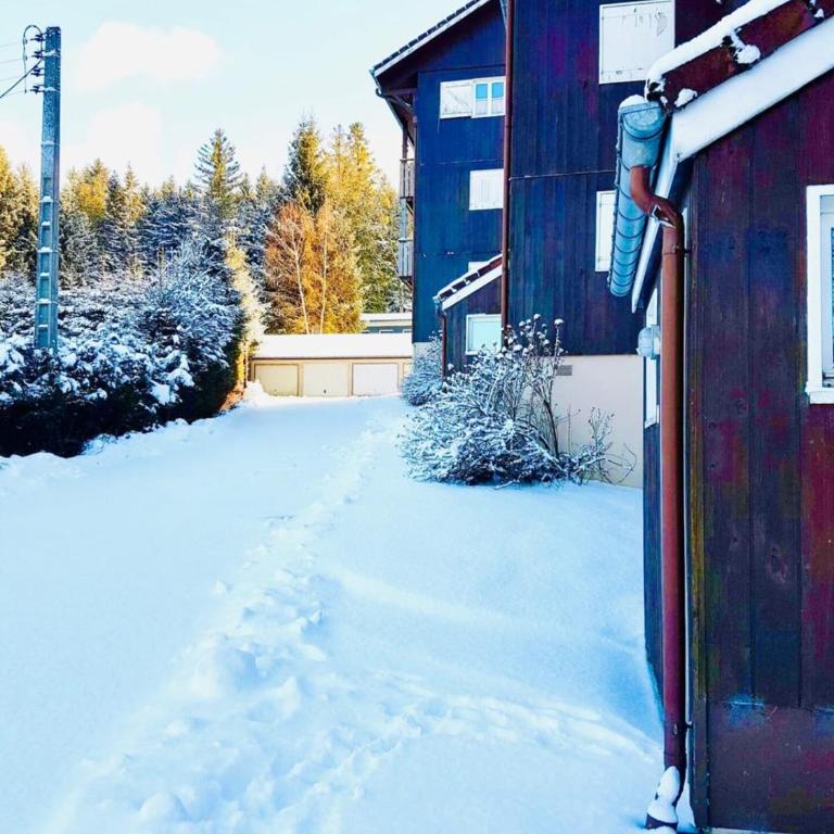 Charming apartment with view of the Massif ! - Appartement - 20