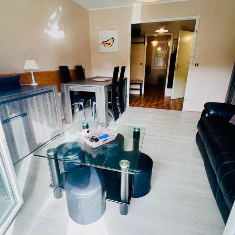 Charming apartment with view of the Massif ! - Appartement - 6