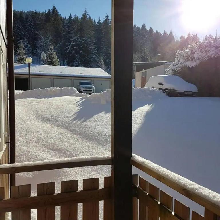 Charming apartment with view of the Massif ! - Appartement - 19