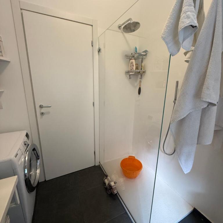 Alisia Lake house - Two-Bedroom Apartment - 5