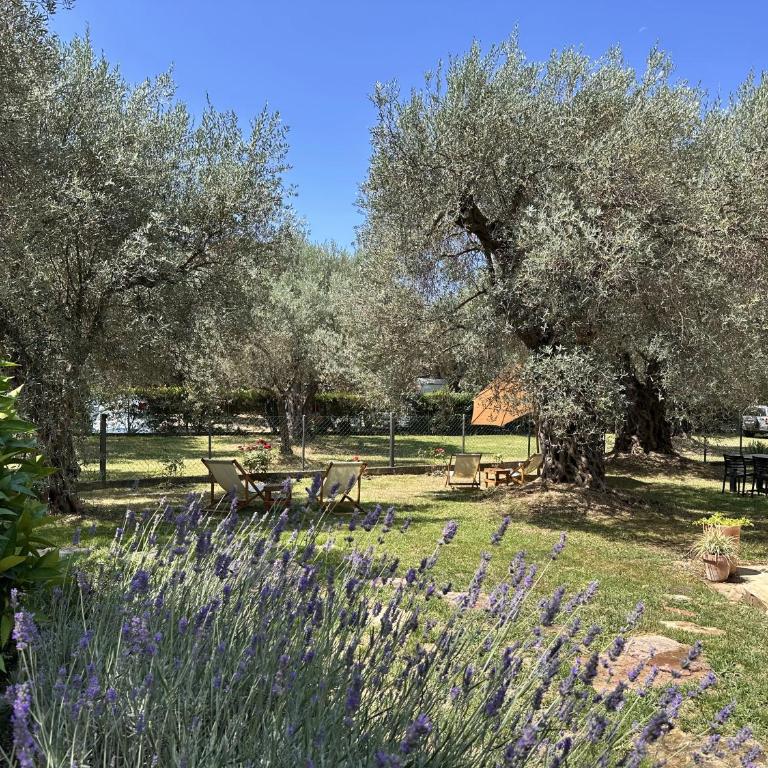 La Laguna Boutique Apartments - Deluks Studio - 18