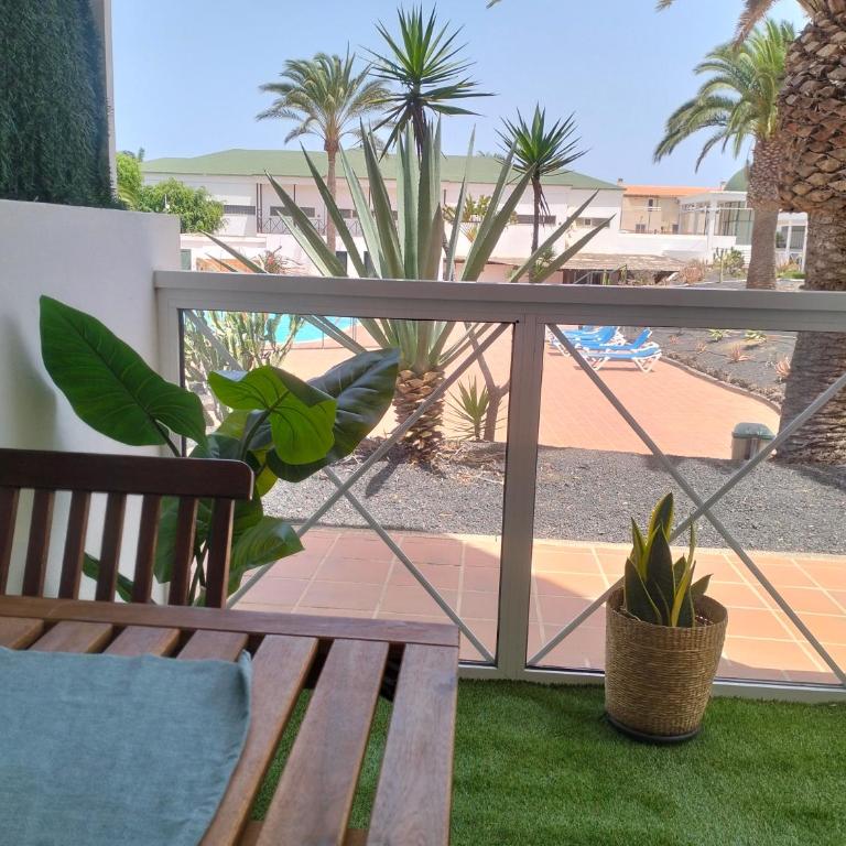 Apartamento Verdemare - Apartamento de 1 dormitorio - 49