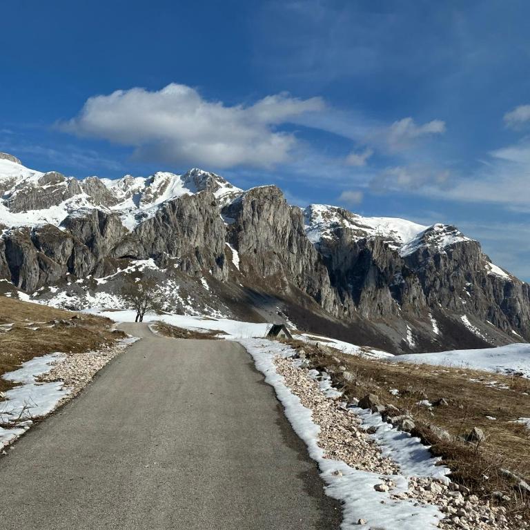 Vila Andjelina - Kuća sa 2 Spavaće Sobe - 10