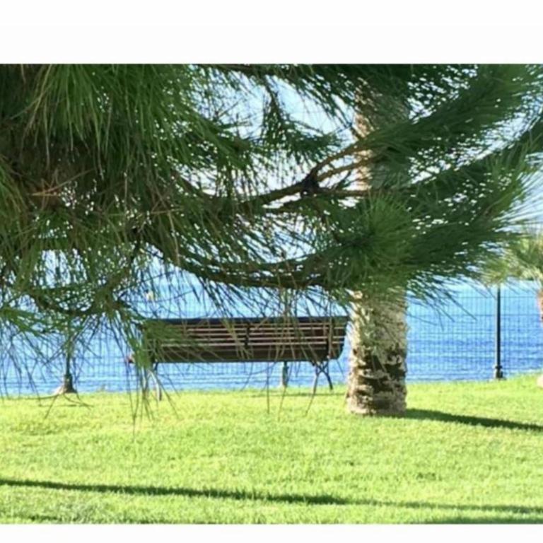 MI CAPRICHO Beachfront 500 - Apartment With Sea Views Costa del Sol - Apartamento de 1 dormitorio - 17