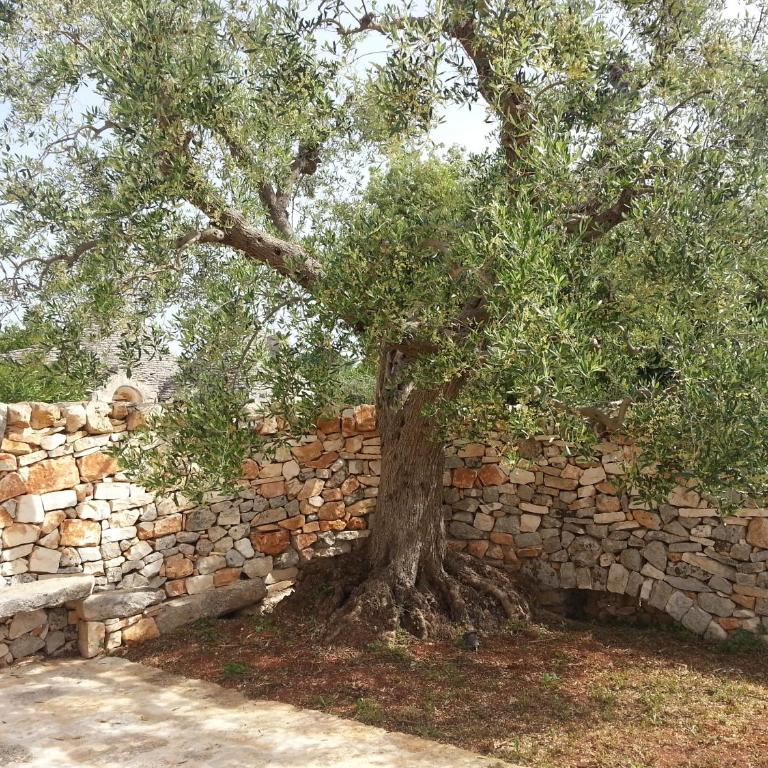 Almapetra Trulli Resort - Casa Vacanze con 1 Camera da Letto e Vista Giardino - 11
