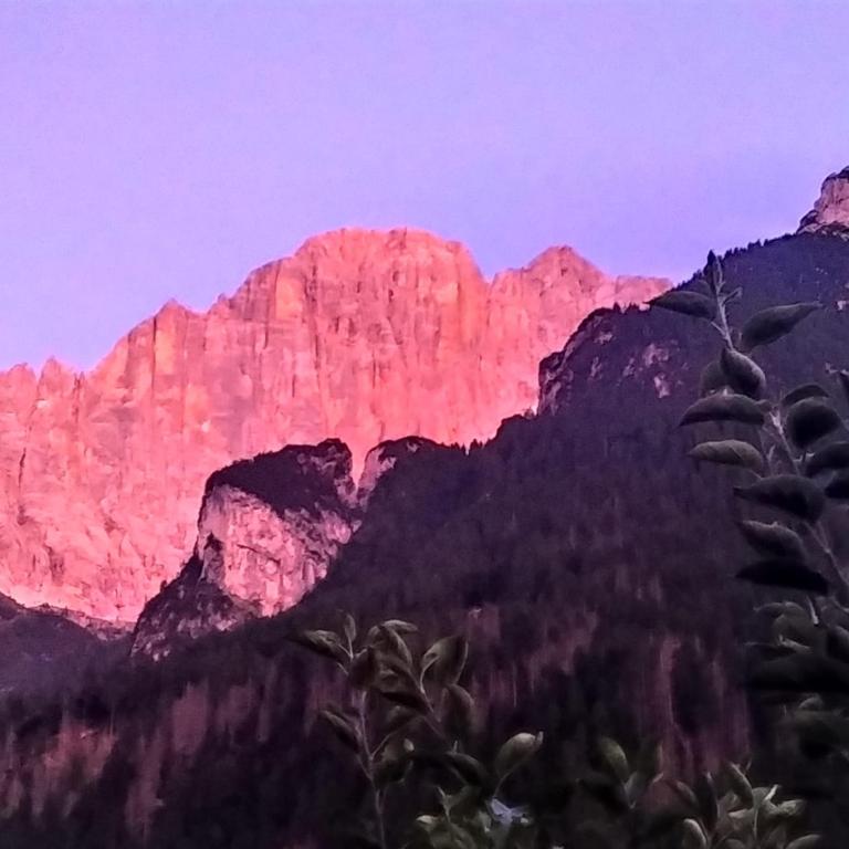 Appartment Alleghe center - Appartamento con 2 Camere da Letto - 2