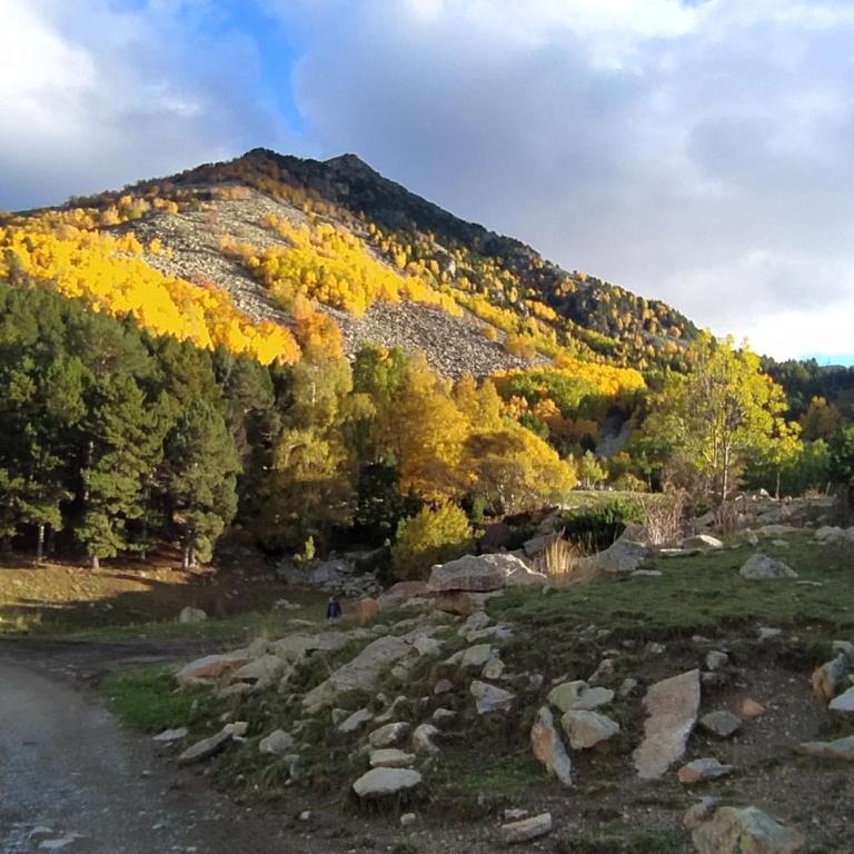 Apartamento Patués - Benasque - Apartamento de 2 dormitorios - 2