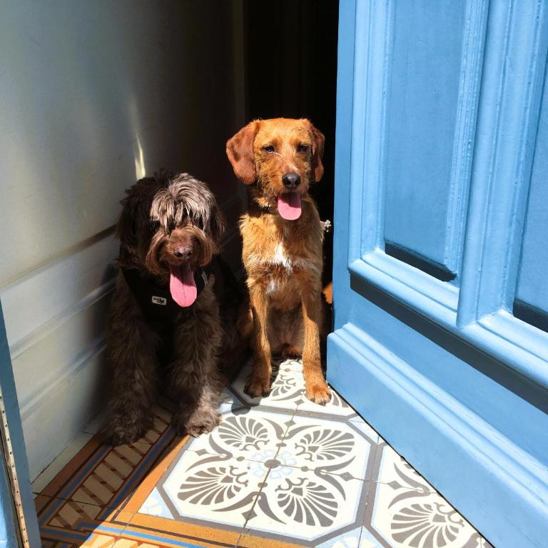 C'est une maison bleue - a blue lodge in Bordeaux - Triple Room - 11