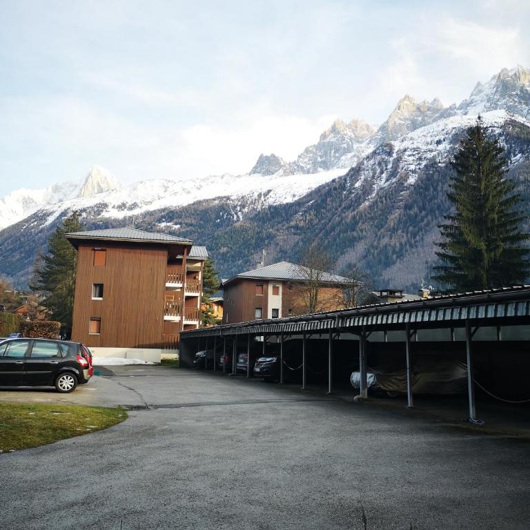 Chamonix, studio de 24 m2 - One-Bedroom Apartment - 17