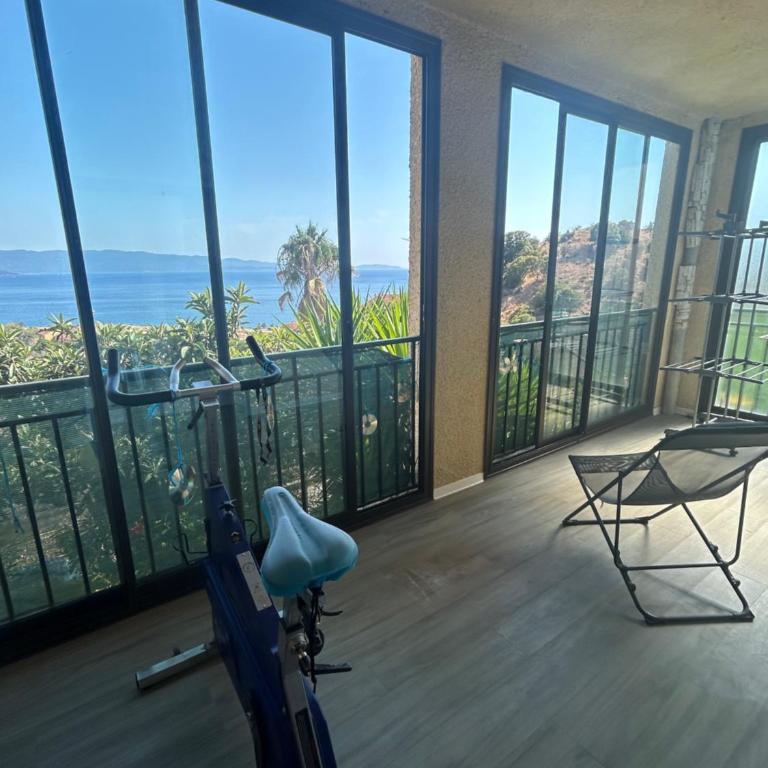 Duplex vue mer Sanguinaires Ajaccio 500 m plage à pieds 2 chambres 2 balcons Clim - Appartement - Vue sur Mer - 31