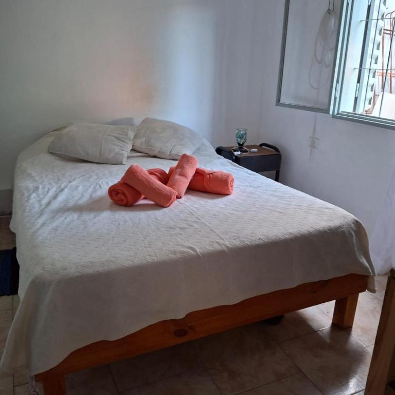 Casa ivoty - Apartamento de 2 dormitorios - 1