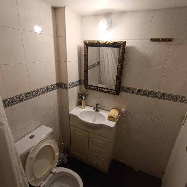 Recoleta loft - Apartamento de 1 dormitorio - 7