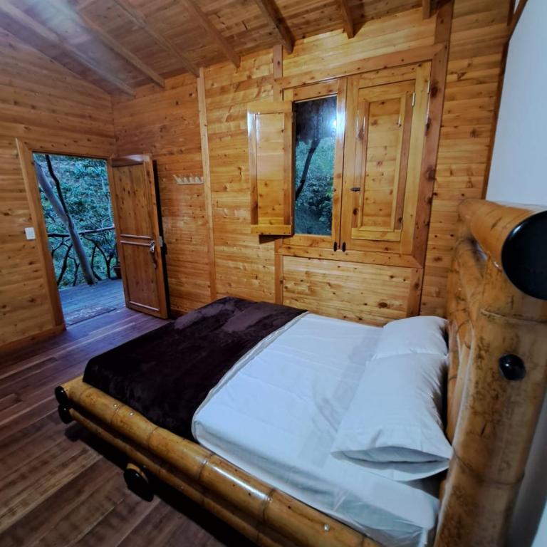 Ana Lucia-Casa del arbol - Habitación Doble con baño privado - 2 camas - 7