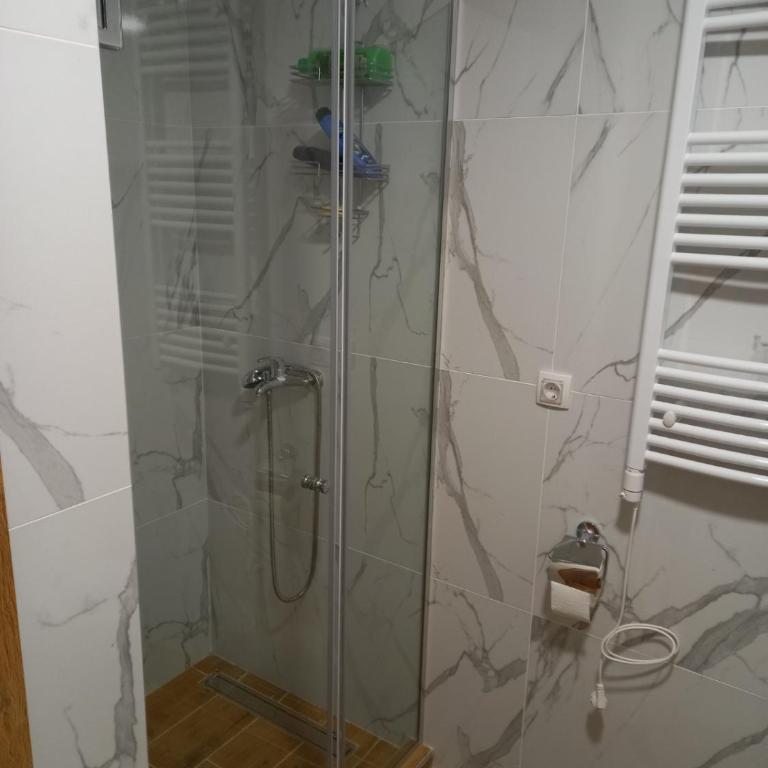 Zlatiborski konaci Apartman Petrovic - One-Bedroom Apartment - 7