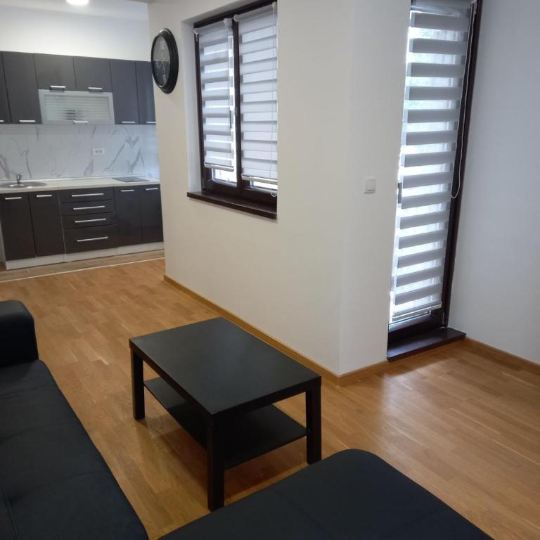 Zlatiborski konaci Apartman Petrovic - One-Bedroom Apartment - 13