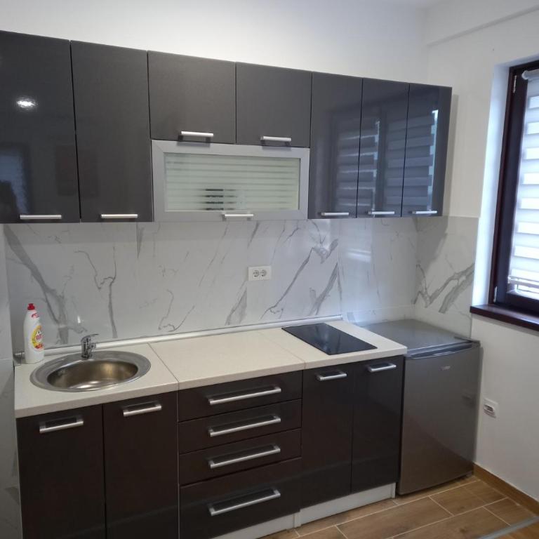 Zlatiborski konaci Apartman Petrovic - One-Bedroom Apartment - 16