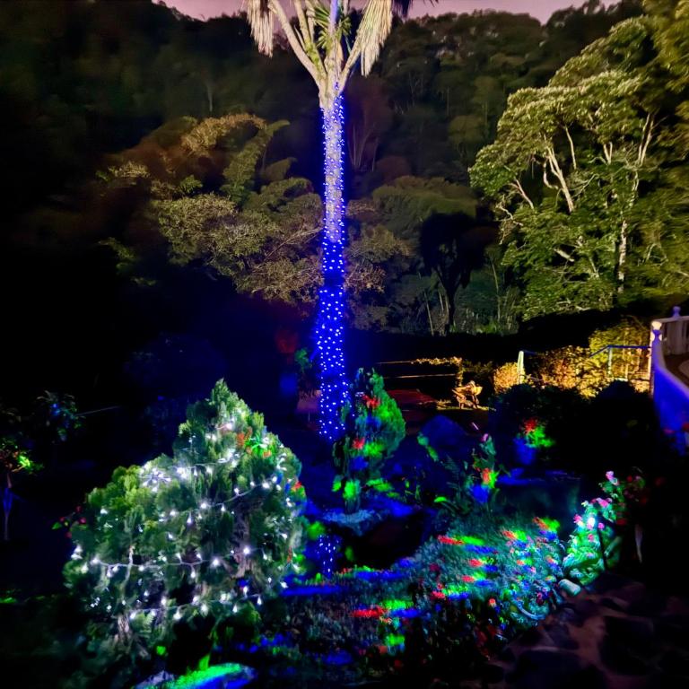 Rincón del colibrí/casa campestre/piscina/la vega - Casa de 6 dormitorios - 16