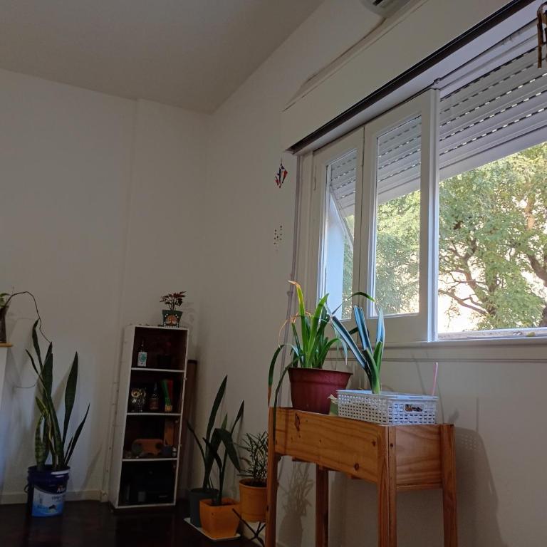 Departamento dos ambientes en Flores - Apartamento de 1 dormitorio - 13