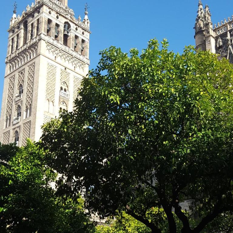 Like Home Sevilla - Museo - Apartamento - 32