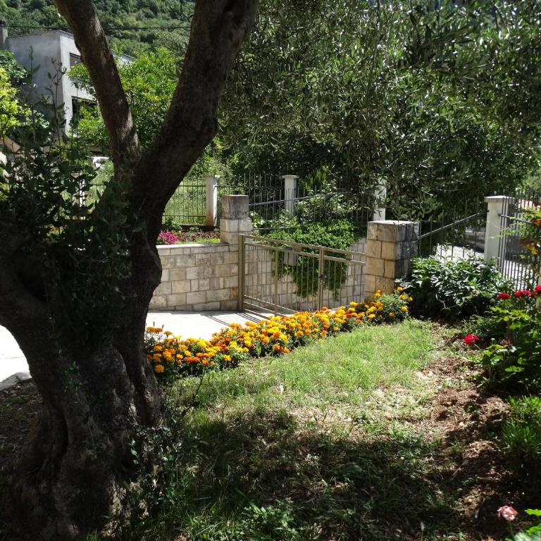 Apartments Ilinka - Standardni Studio - 5