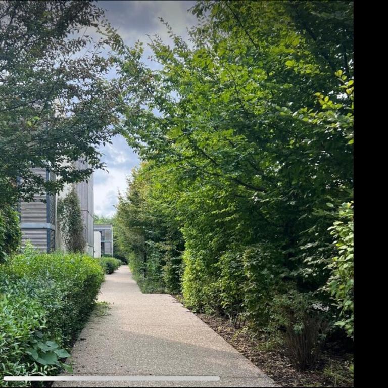 Suite Oceïna Proche Disneyland Parking 5 Pers - Appartement - Rez-de-Chaussée - 24