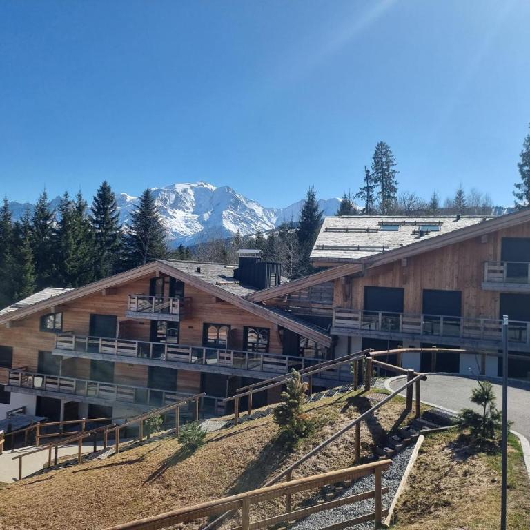 Charmant appartement à Combloux près des pistes avec parking - Appartement 1 Chambre - 3