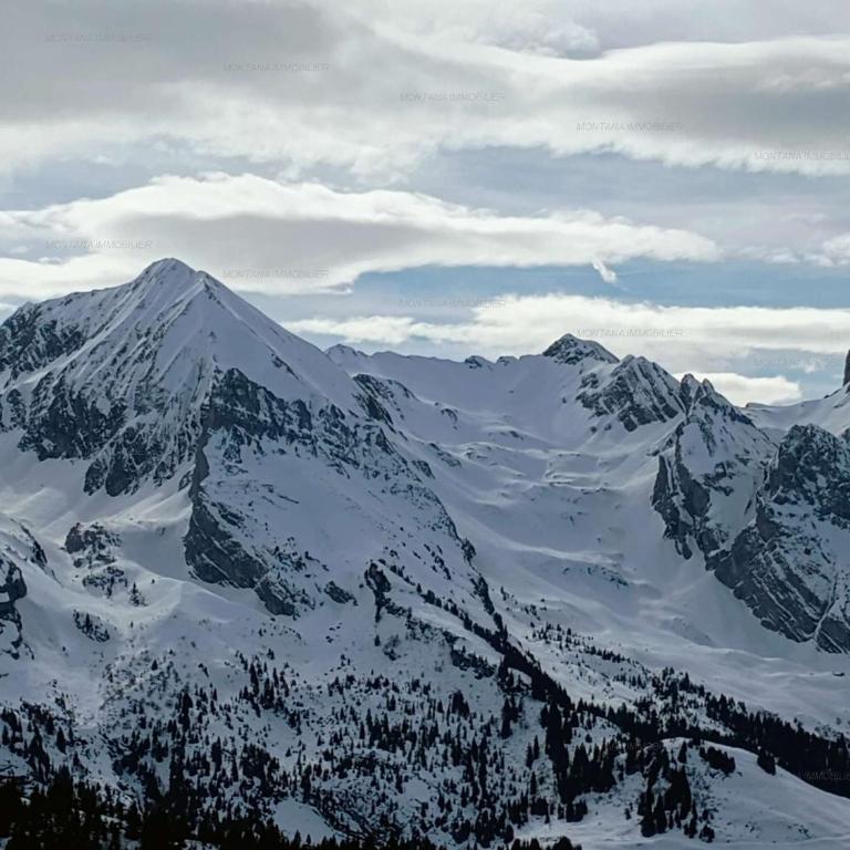 Charmant T2 + coin montagne pour 4 personnes, proche des pistes - FR-1-458-245 - Apartment - 13