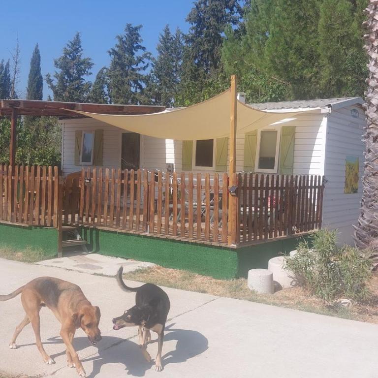 Stacaravan el toro Alhaurin - Two-Bedroom Apartment - 1