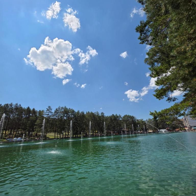 Apartman Petica - Apartman sa 1 Spavaćom Sobom - 12