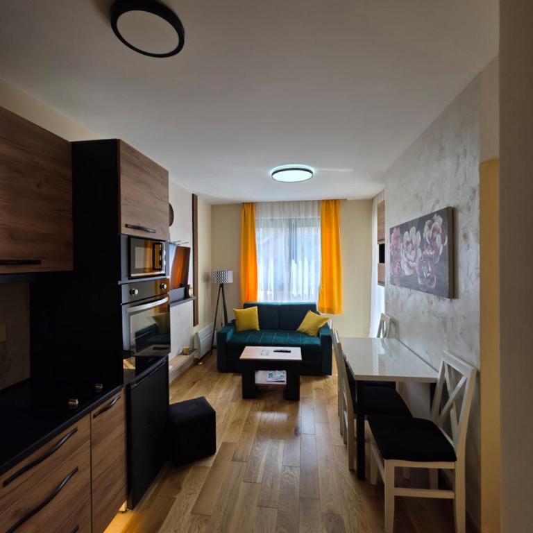 Apartman Petica - Apartman sa 1 Spavaćom Sobom - 11
