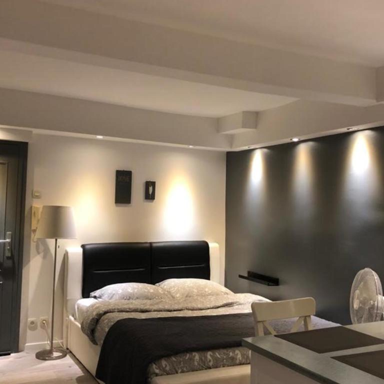 Cosy Studio Proche Palais Des Papes - Estudio - 5