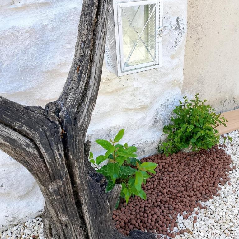 Maisonnette Soleil - Casa con 1 Camera da Letto - 15