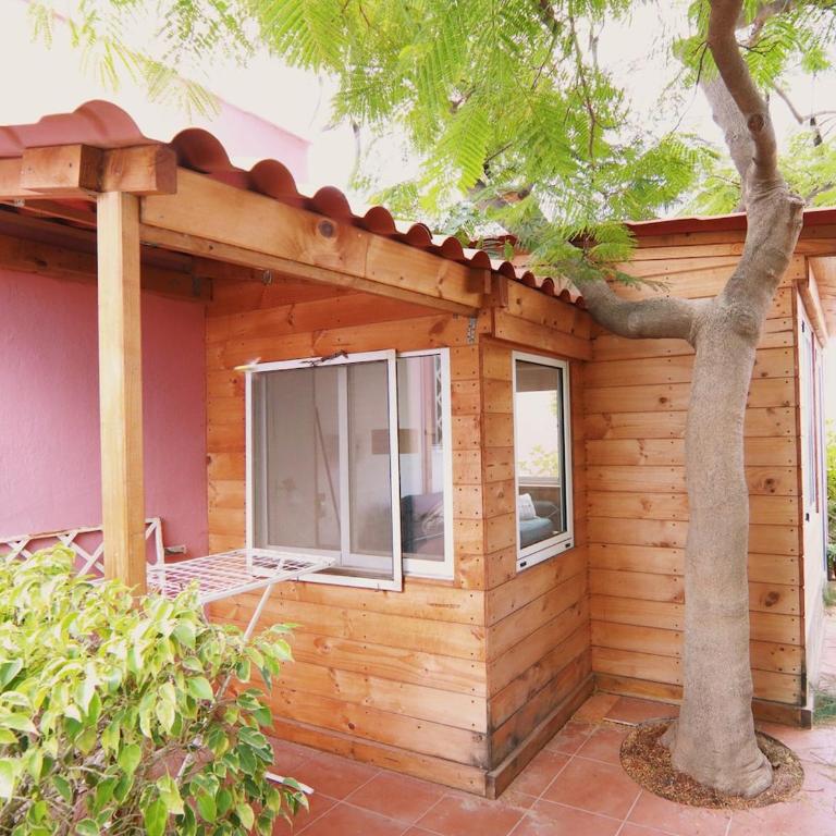 San Agustín Beach Apartment - One-Bedroom Apartment - 17