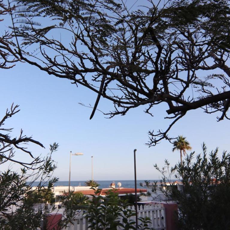San Agustín Beach Apartment - One-Bedroom Apartment - 21