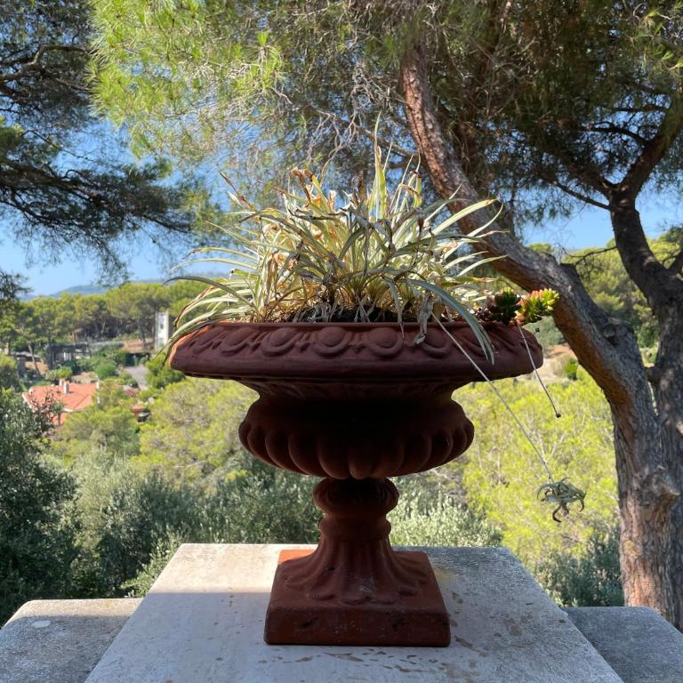 Appartamento Gemma in Villa a Pinamare - Villa con 2 Camere da Letto - 42