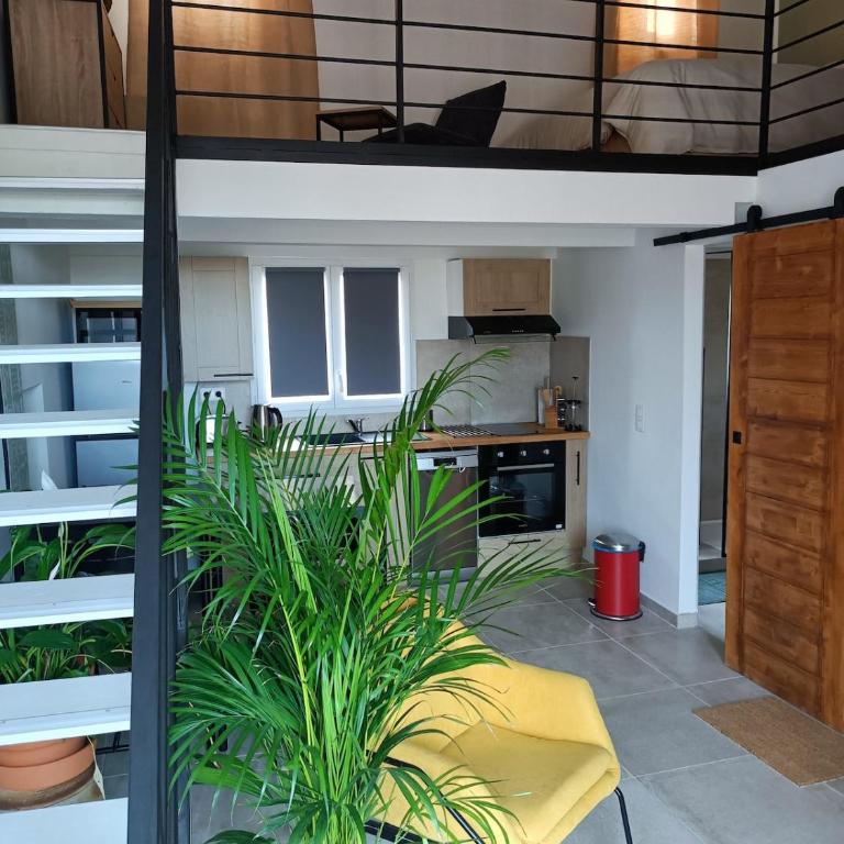 Appartement cosy centre historique avec rooftop - Apartment mit 1 Schlafzimmer - 21