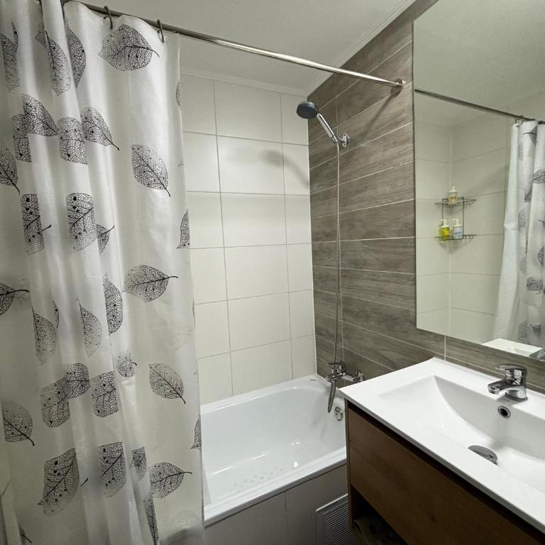 Studio Movistar Arena Santiago I Metro Toesca - Apartamento de 1 dormitorio - 20