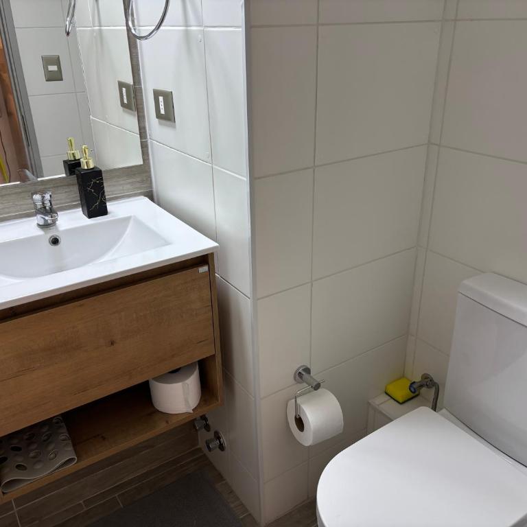 Studio Movistar Arena Santiago I Metro Toesca - Apartamento de 1 dormitorio - 21