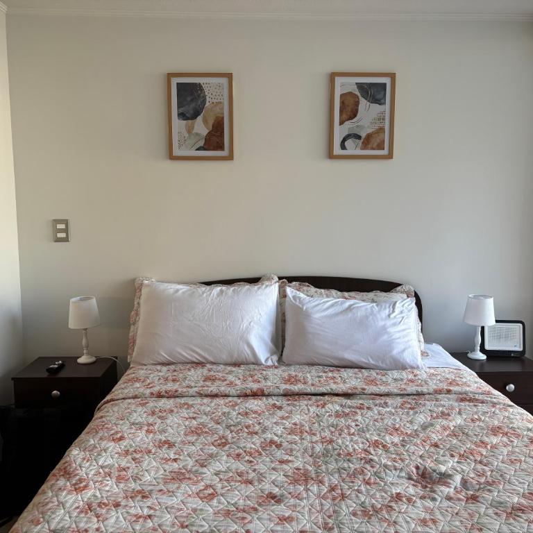 Studio Movistar Arena Santiago I Metro Toesca - Apartamento de 1 dormitorio - 8