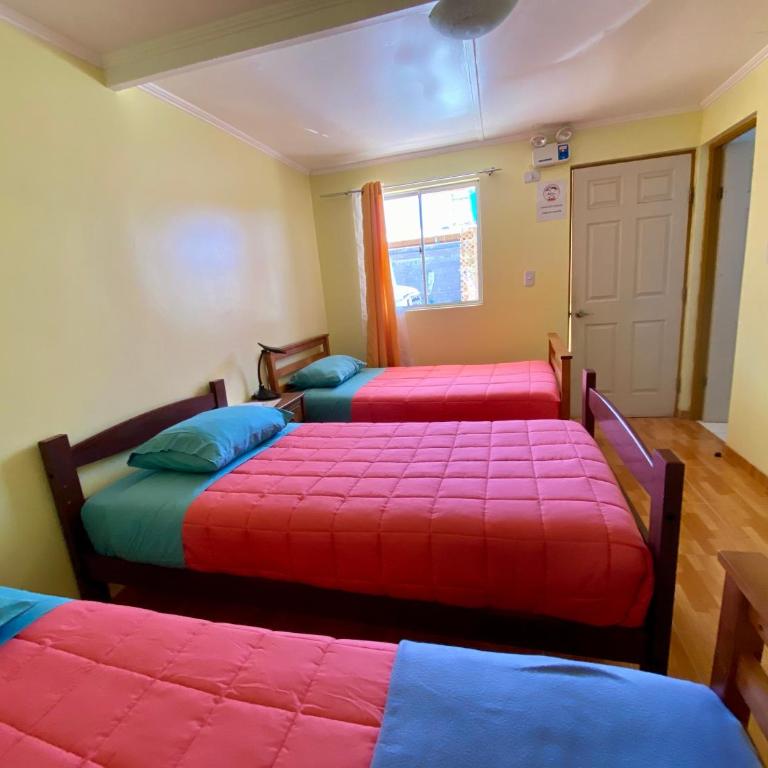 Travel House - Triple Room with Bathroom - 2