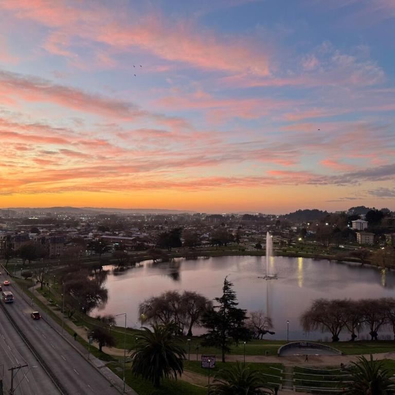 Departamento en Concepción, Frente a Laguna y a minutos del Aeropuerto y centros Comerciales - One-Bedroom Apartment - 12