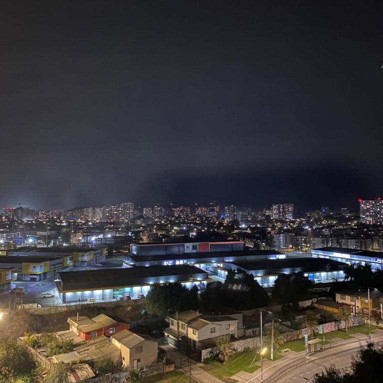 Departamento en Concepción, Frente a Laguna y a minutos del Aeropuerto y centros Comerciales - One-Bedroom Apartment - 11