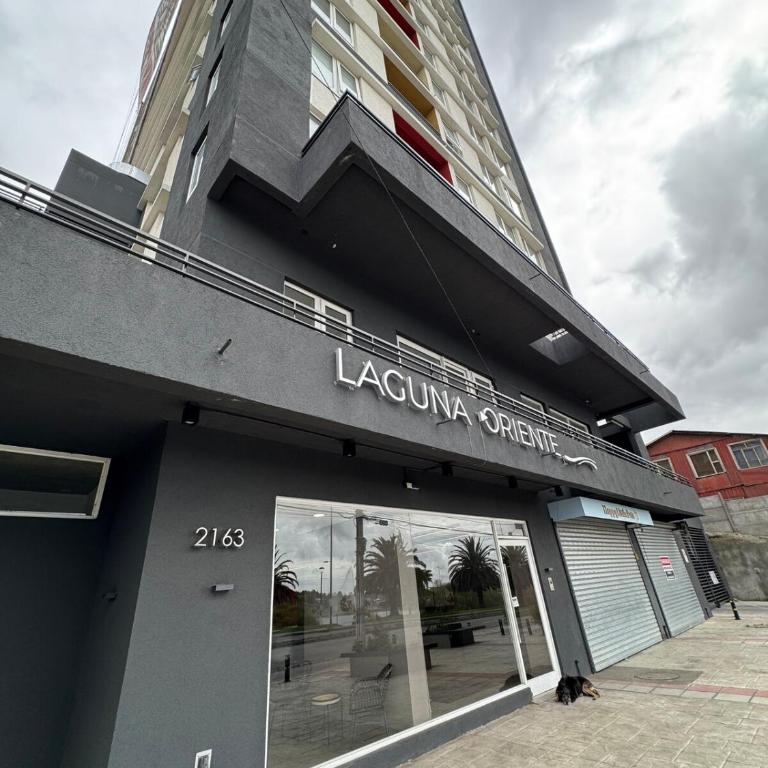 Departamento en Concepción, Frente a Laguna y a minutos del Aeropuerto y centros Comerciales - One-Bedroom Apartment - 18