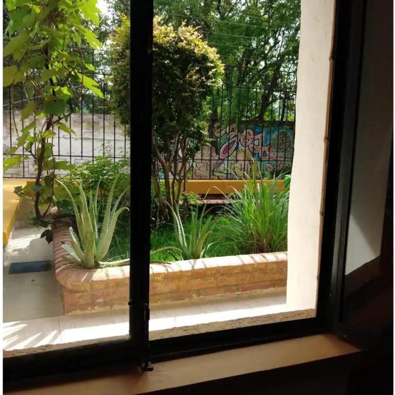 Cali salsa y rumba ,casa de los perezosos - Habitación Doble - 2 camas - 13